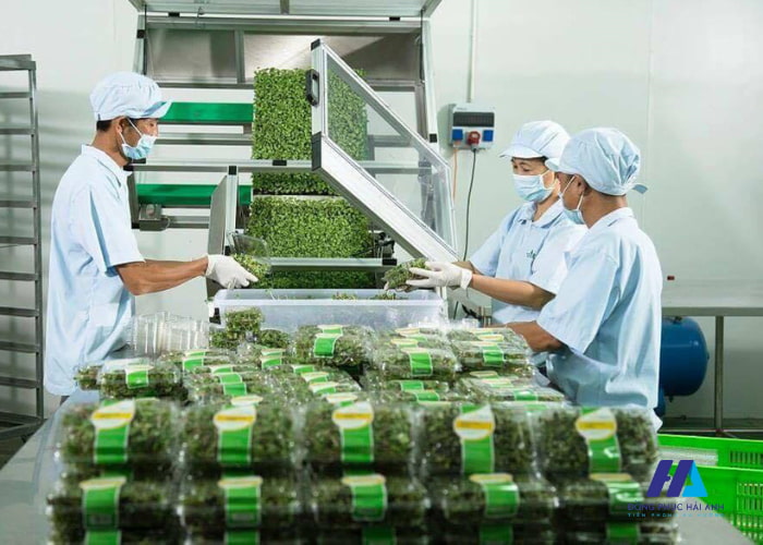 Mẫu Flyok.vip truy cập ngay công nhân thực phẩm cần sử thoải mái và thông thoáng cho người sử dụng