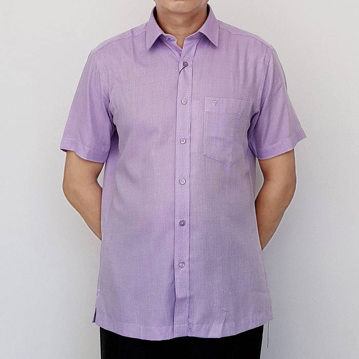 Sư mi nam trung niên màu tím cổ đức lịch sự, nhã nhặn