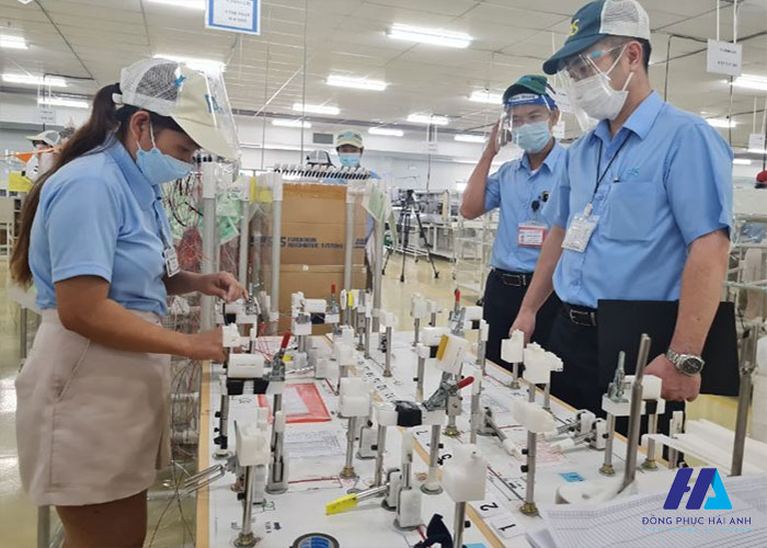 Thiết kế Nhà Cái FLY88.COM Xanh Chín, Uy Tín Tặng 188k công ty FAS thanh lịch và chuyên nghiệp 
