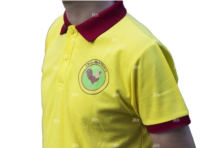 Ví trị in logo Flyok.vip truy cập ngay trước ngực