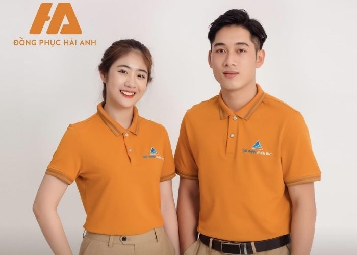 FLy88 quaytay.tv bóng đá công ty Đất Xanh Miền Bắc