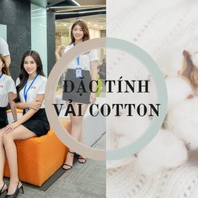 Vải Cotton- Nhà Cái FLY88.COM Xanh Chín, Uy Tín Tặng 188k Flai88 cá cược thể thao