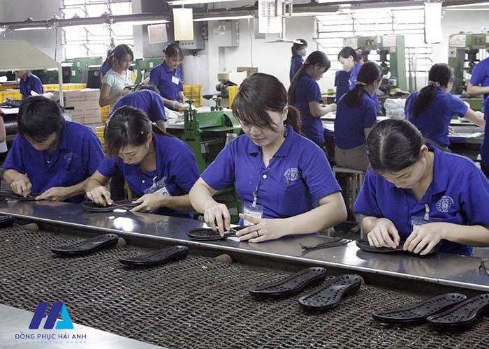 Những điểm cần lưu ý khi đặt may Nhà Cái FLY88.COM Xanh Chín, Uy Tín Tặng 188k công ty giày