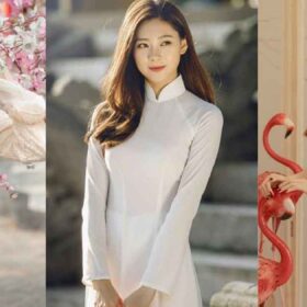 Thời trang Trang Chủ Fly88.Com Uy Tín Đẳng Cấp Số 1 Châu Á áo dài dịu dàng duyên dáng