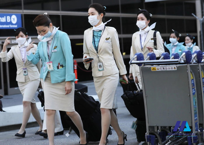 Xu hướng thiết kế Nhà Cái FLY88.COM Xanh Chín, Uy Tín Tặng 188k của các hãng hàng không trên toàn thế giới