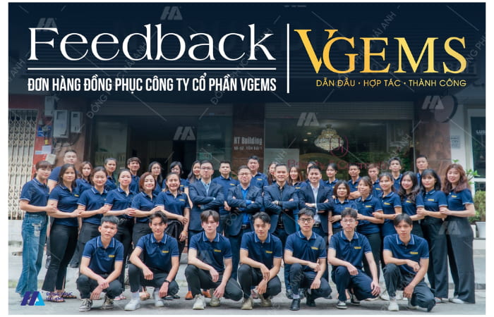Flyok.vip truy cập ngay công ty Vgems