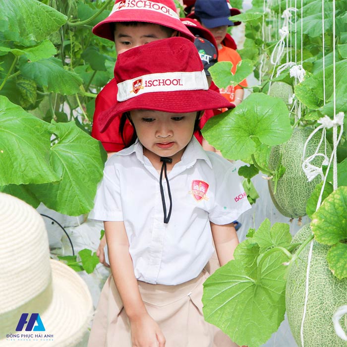 Thiết kế mũ Nhà Cái FLY88.COM Xanh Chín, Uy Tín Tặng 188k học sinh iSchool tiện lợi và gọn gàng 