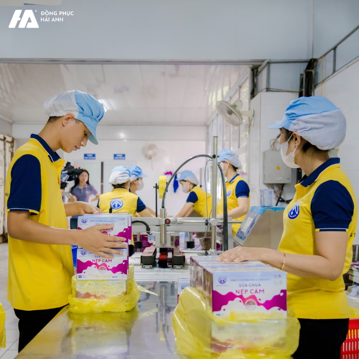 Mẫu Nhà Cái FLY88.COM Xanh Chín, Uy Tín Tặng 188k Sữa Chị Vàng Ba Vì mang lại nhiều yêu thích của đội ngũ nhân viên