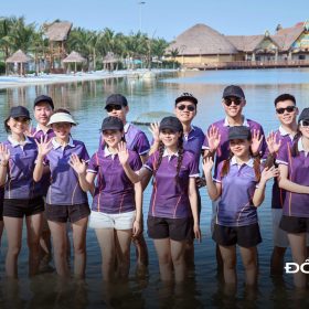 1001+ mẫu Flyok.vip truy cập ngay màu tím ưu nhã, tinh tế