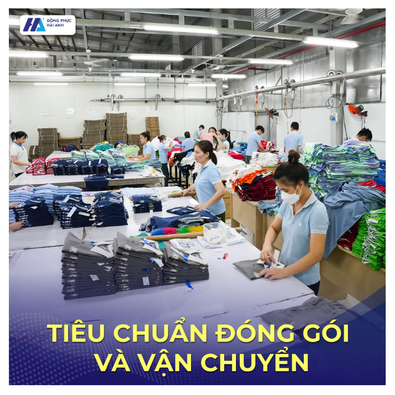 Đạt tiêu chuẩn đóng gói và vận chuyển